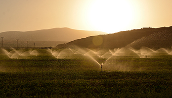 Irrigation Tubing